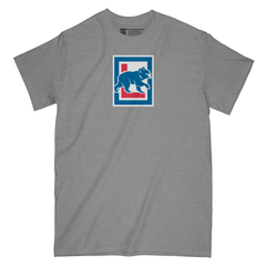 Baseball Legends | Chicago Hawk