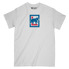 Baseball Legends | Chicago Hawk